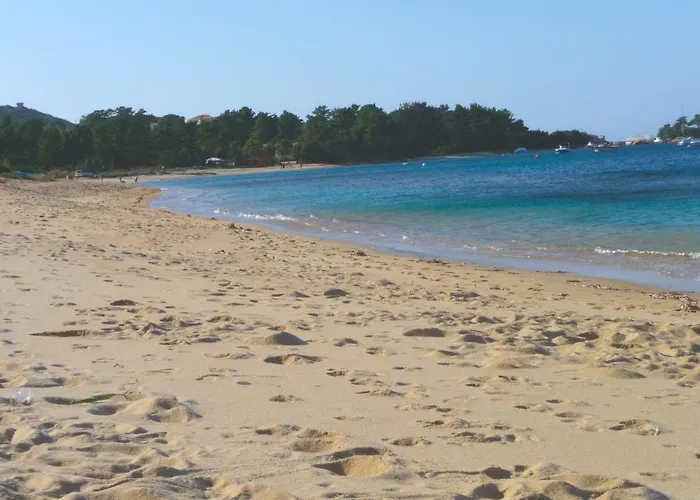 Corse Vue Semesterbostad *