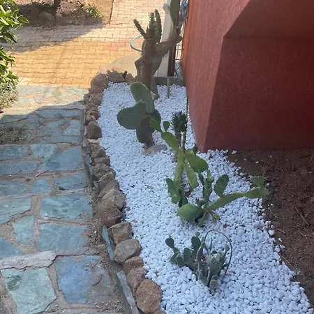 Corse Vue Semesterbostad *