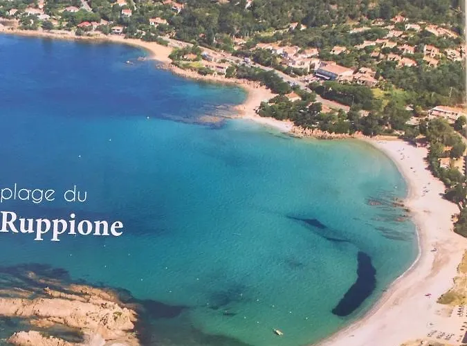 Corse Vue *
