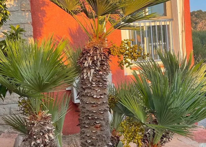 بيت للعطل Corse Vue