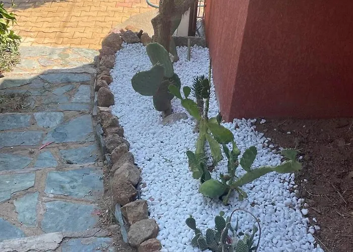 Corse Vue Vakantiehuis *